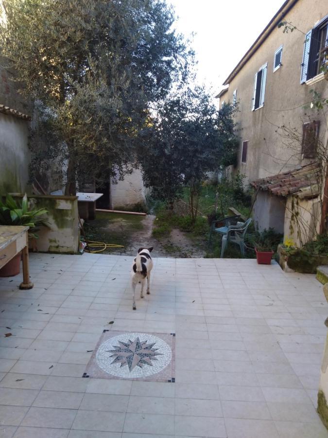 Casa Vacanza Zia Ersilia Rotondi Exteriör bild