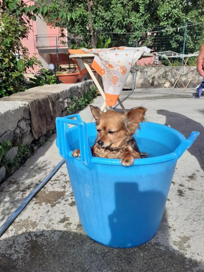 Casa Vacanza Zia Ersilia Rotondi Exteriör bild