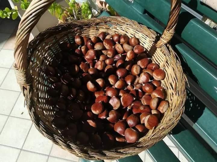 Casa Vacanza Zia Ersilia Rotondi Exteriör bild